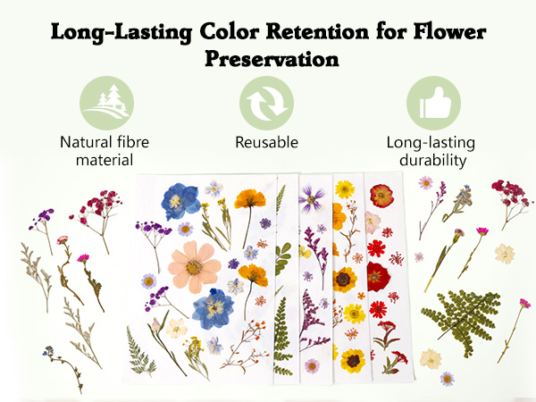 flower press paper