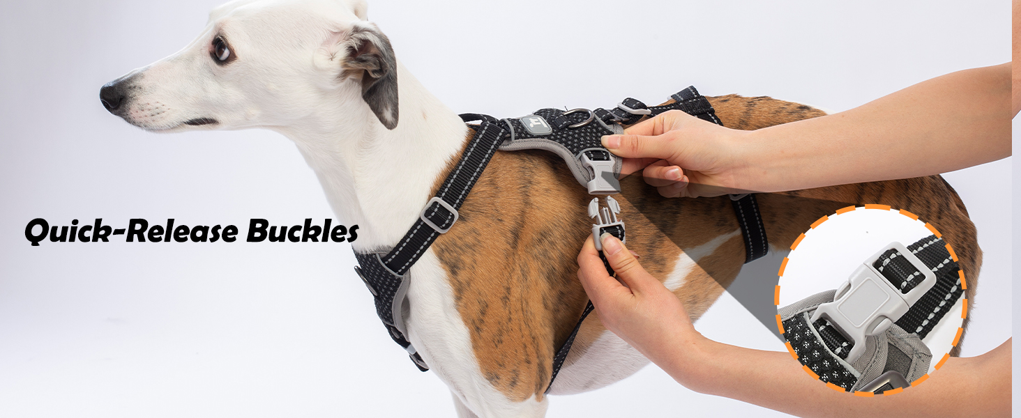 escape proof dog harness