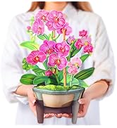 Airpark Mothers Day Gifts Pop Up Flower Card, 3D Orchid Bouquet Mothers Day Cards for Mom Women, ...