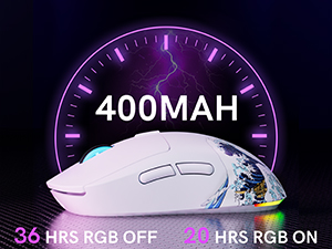 Large Capacity Battery