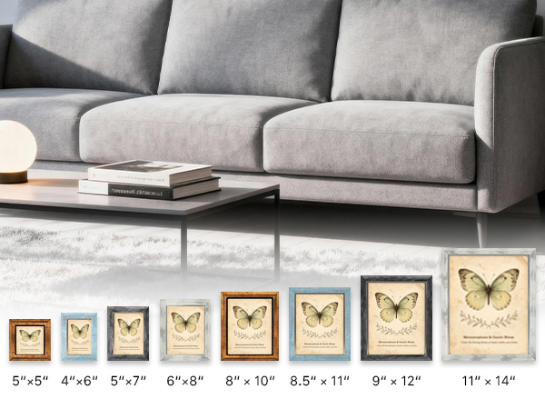 picture frame