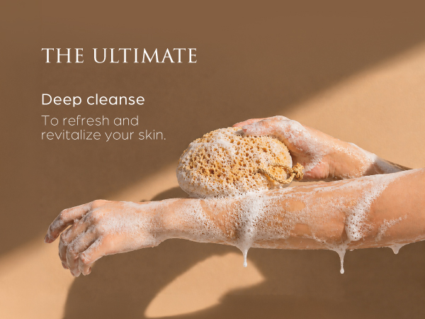 Bath Sponge