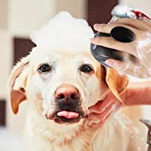 for pets