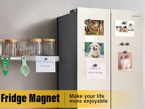 fridge magnets