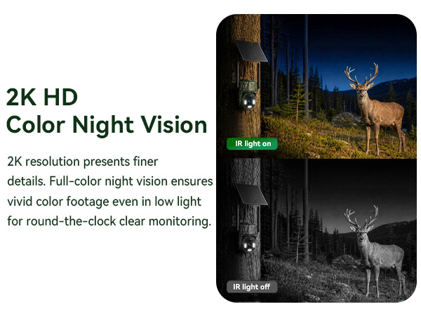 trail cameras with night vision