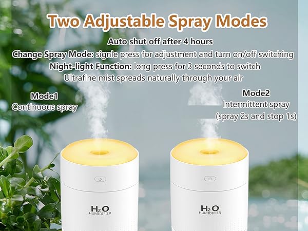 humidifier for plants