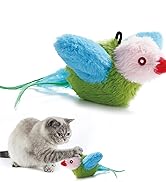 cat toys