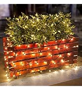 Lomotech Christmas Net Lights, 6ft x 4ft 150 Count Incandescent Mesh Lights, Connectable UL Certi...