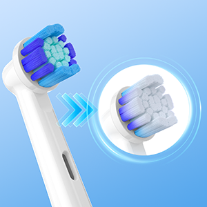 toothbrush heads
