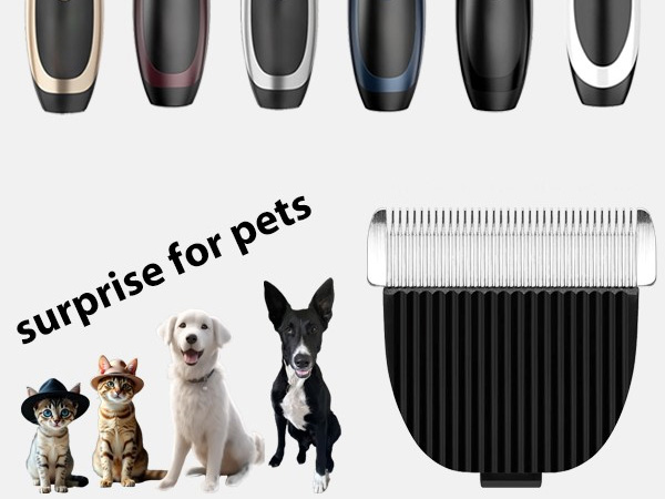 surprise for pets