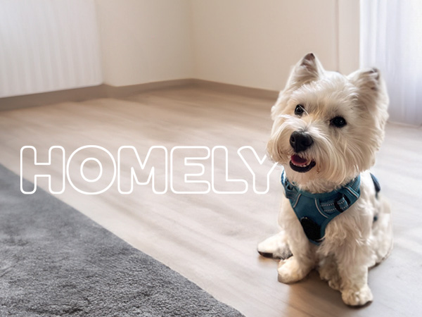 Double attachment harness for pets