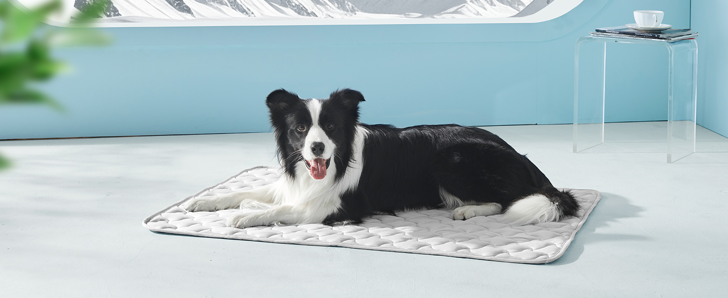 green pet cooling mat
