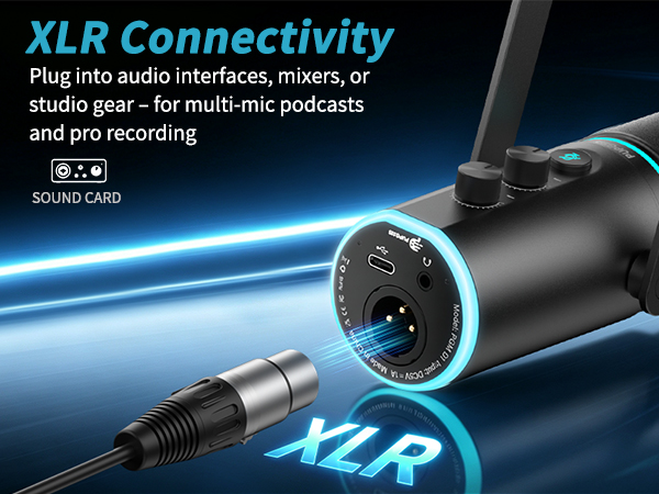 XLR Connectivity