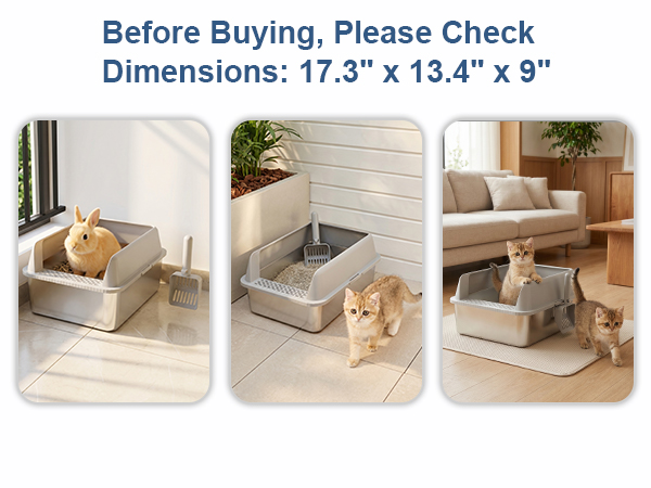 litter box
