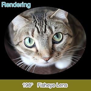 198° Fisheye Lens