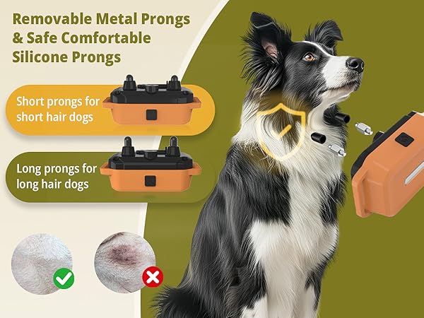 three dog training collar with remote