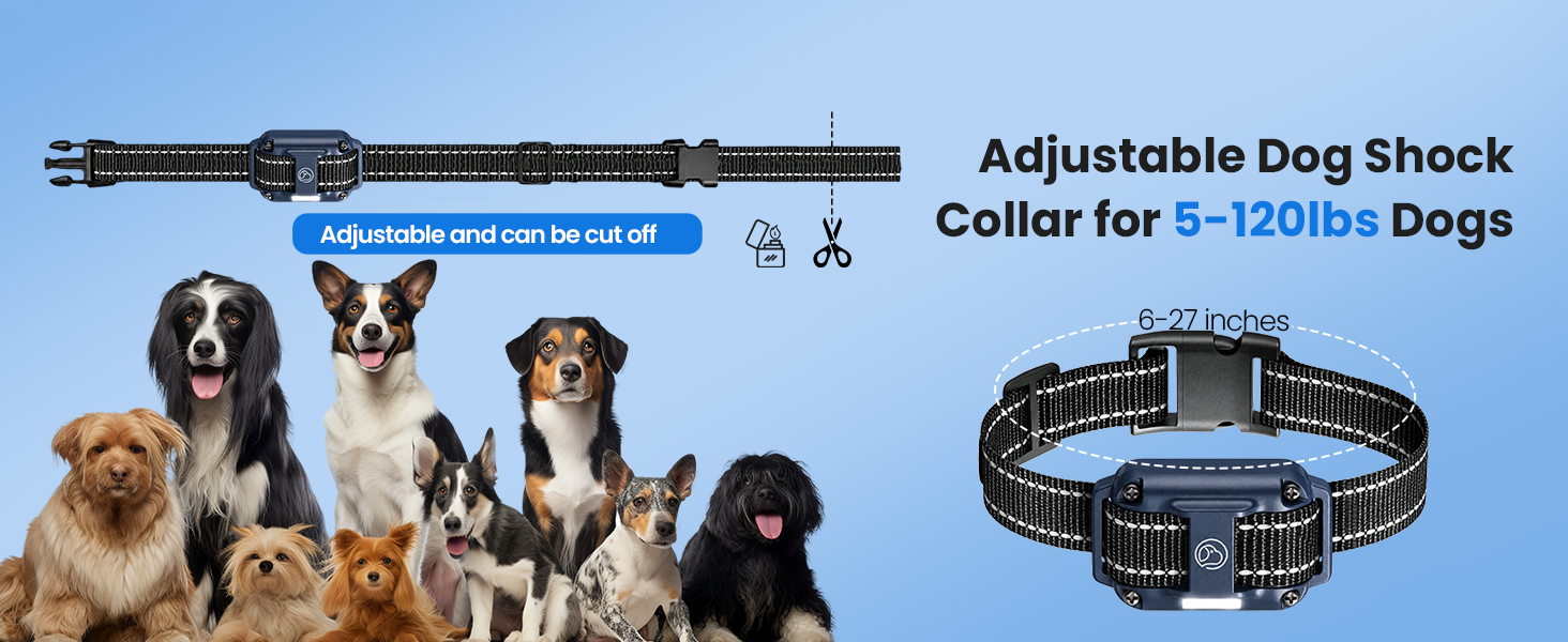 Fit All Breed Sizes