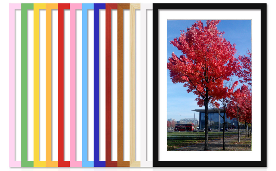 4x6 5x7 8x10 10x12 11x17 11x14 9x12 12x16 16x20 18x24 24x36 Picture frame