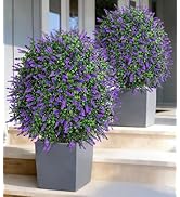 HyeFlora 26'' Artificial Boxwood Topiary Trees with Lavender 2 Pack Fake Plants for Outdoor Indoo...