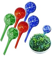 Evelots 6 Pack Plant Watering Globe-Glass-Automatic Water System-Indoor/Outdoor