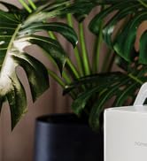 dehumidifier