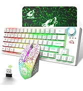 60% Wireless Gaming Keyboard and Mouse Combo 64 Keys RGB Chorma Backlight Rechargeable 4000mAh Ba...