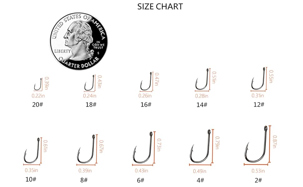 SIZE
