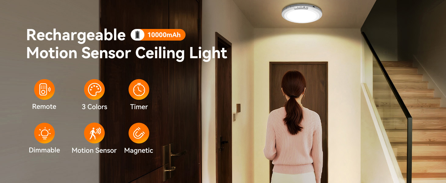 Motion Sensor Ceiling Light