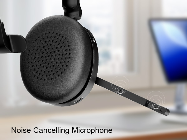 noise cancelling microphone for class