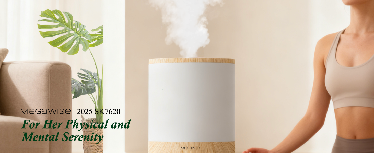 humidifier