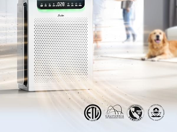 air purifier