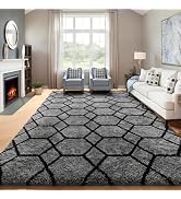 ONASAR 6x9 Area Rugs for Living Room Bedroom, Large Fluffy Grey and Black Throw Rug, Geometric So...