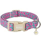 Astdogio Cotton Floral Dog Collar,Green Dog Collar with Pink Flower, Adjustable Puppy Dog Collars...