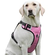 PenSeepet Dog Harness No Pull Dog Harness with 2 D-Ring,Adjustable Reflective Soft Padded Dog Ves...