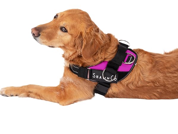 Custom dog harness Personalized dog harness Adjustable dog harness