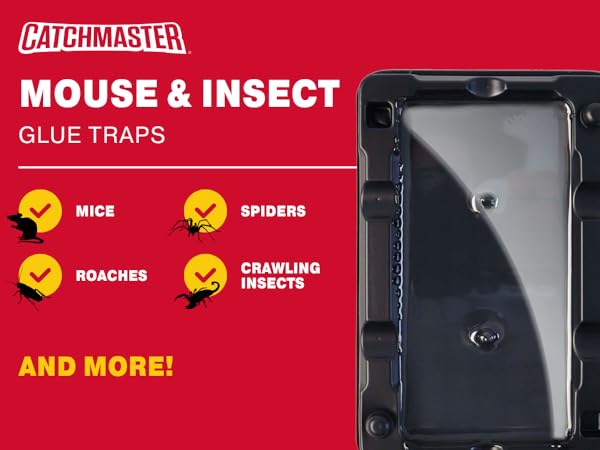 mouse and insect baited glue trap