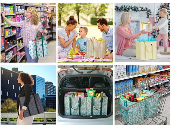 grocery shopping bags