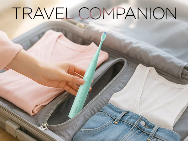 Travel Companion