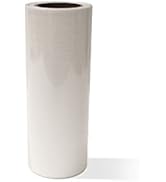XPEL TW12T100 Clear Tracwrap 12" x100' Temporary Paint Protection Film
