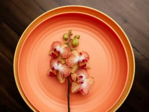 9 Inches Plate 10 Inches Plate Vibrant Plates Reusable Plates Deep Plates