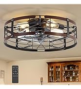 ZYD 20" Caged Ceiling Fan with Light, Farmhouse Cieling Fan with Quiet DC Motor, Rustic Metal Cag...