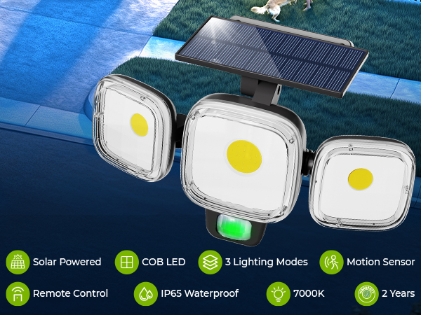 solar motion sensor light