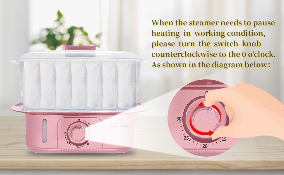 towel steamer