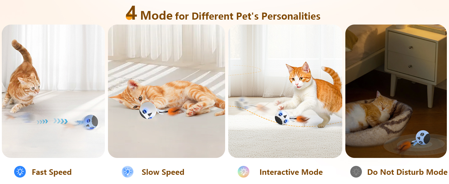 Cat Toy for Indoor Cats