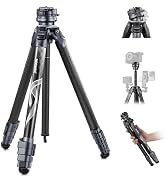 NEEWER LITETRIP LT32 62