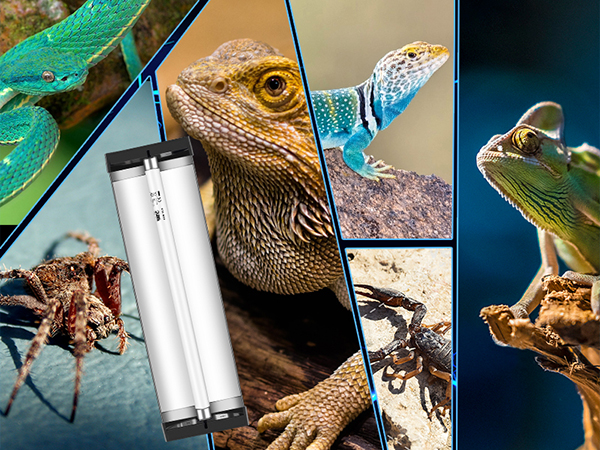 reptile light fixture