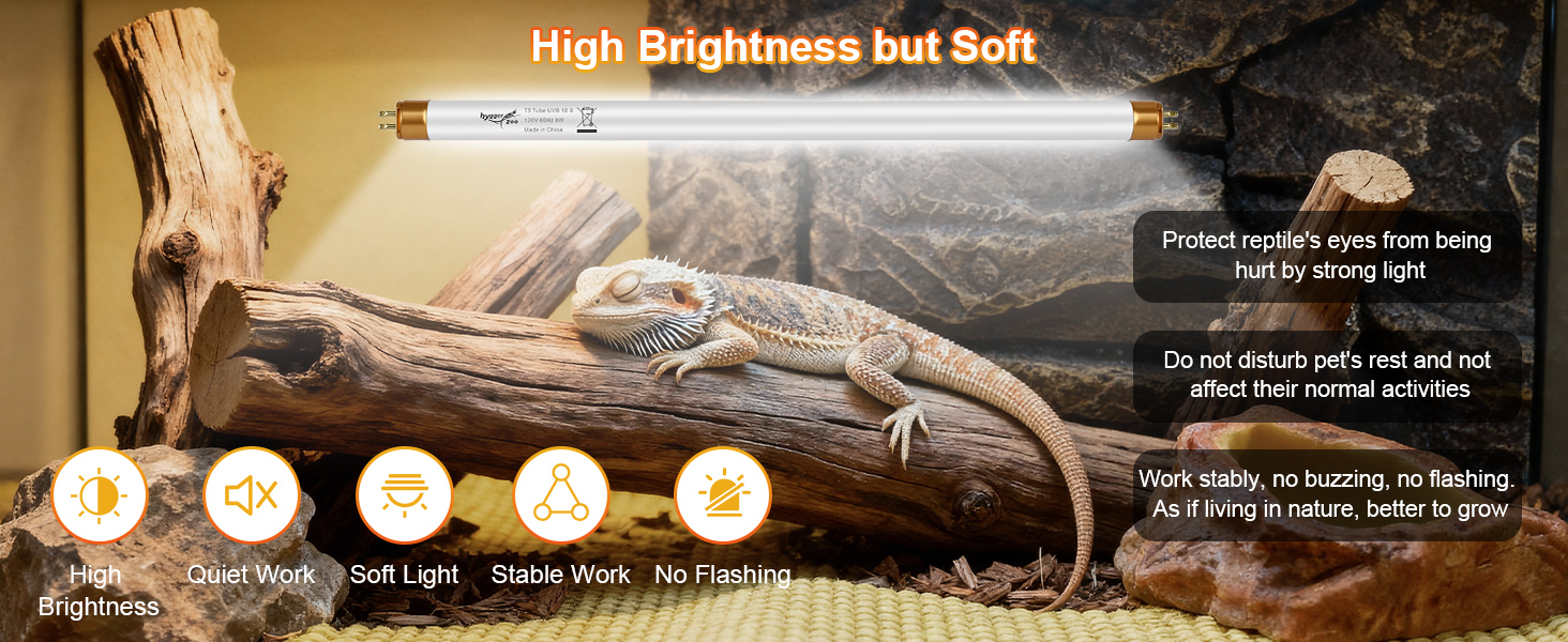 bearded dragon tank accessories