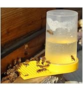 HAOHIZE Plastic Bee Feeder, Beehive Drinking Bowl Bee Keeping Equipment Beehive Beekeeping Water ...