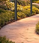 solar pathway lights