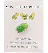 Pxiryanlow Green Handmade Emotional Support,You're Turtley Awesome,Turtle Inspirational Gifts,Min...